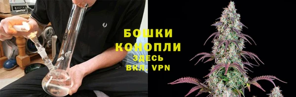 МДПВ Михайлов